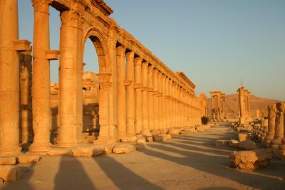 Morning sun, Palmyra