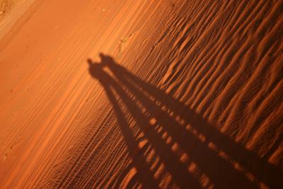 Shadows in the sand, Wadi Rum