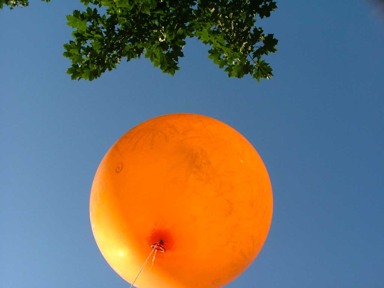 Orange Balloon