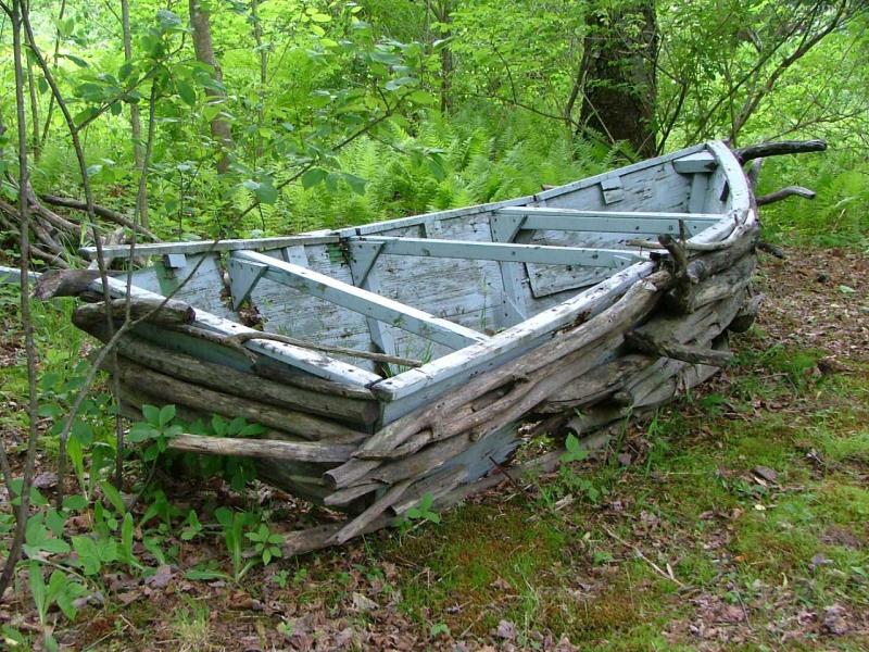 Driftwood Boat Rearview