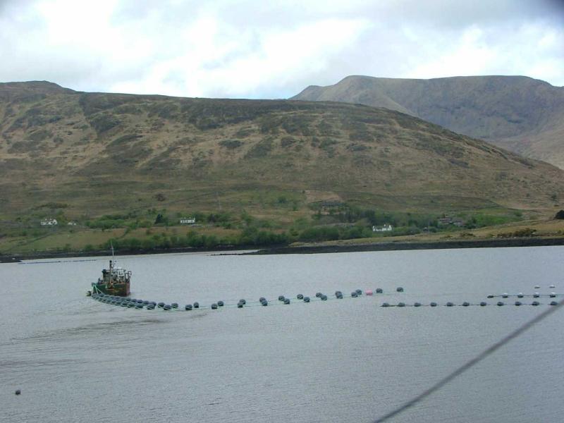 Work Boat