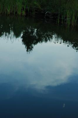 Moon Reflection