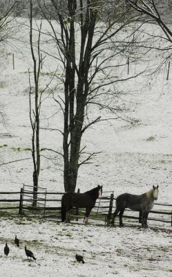 First Snow