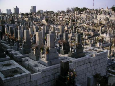 wide shot