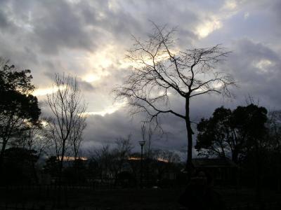 MARUYAMA PARK