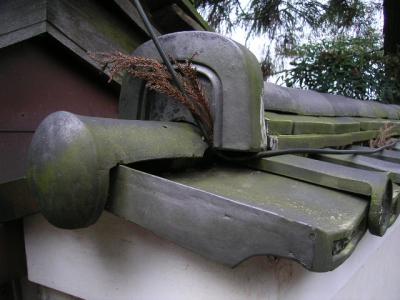roof tiles
