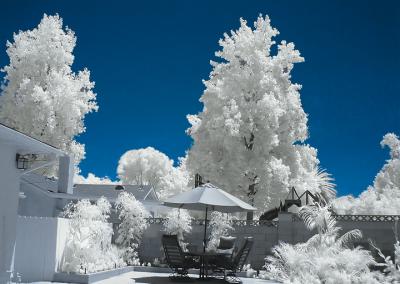 infrared yard