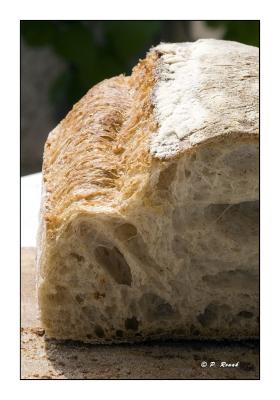 Rustique Bread