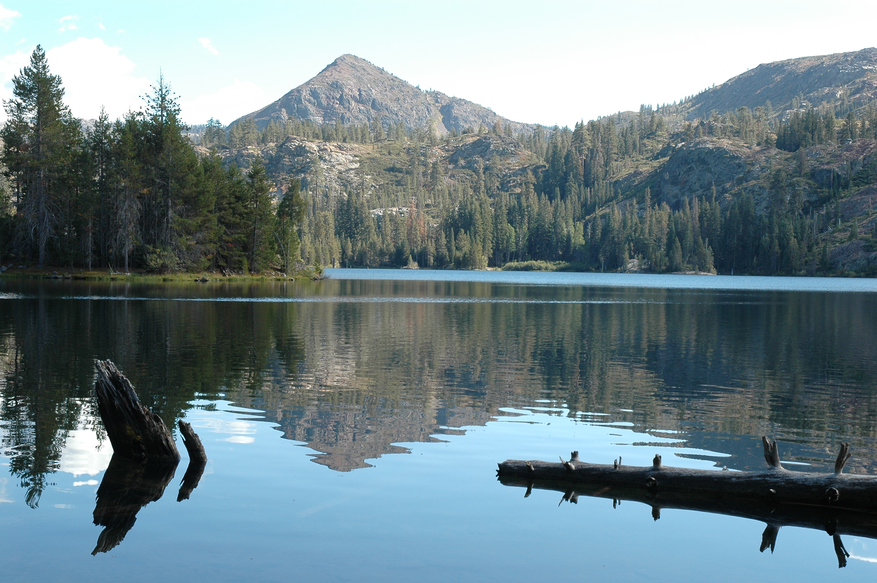 DSC_2402.JPG