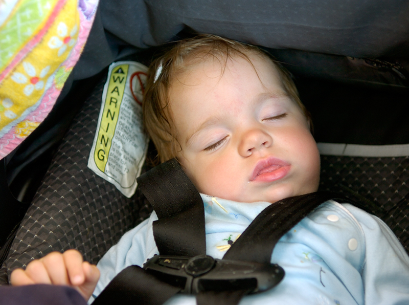 Clara catching a few winks.  