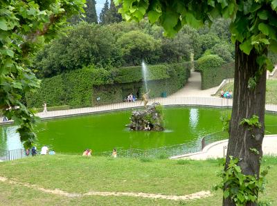 Pond With Fountain