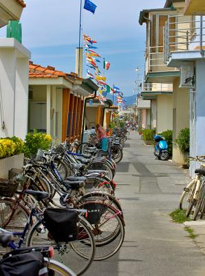 Bicycles At The Seashore