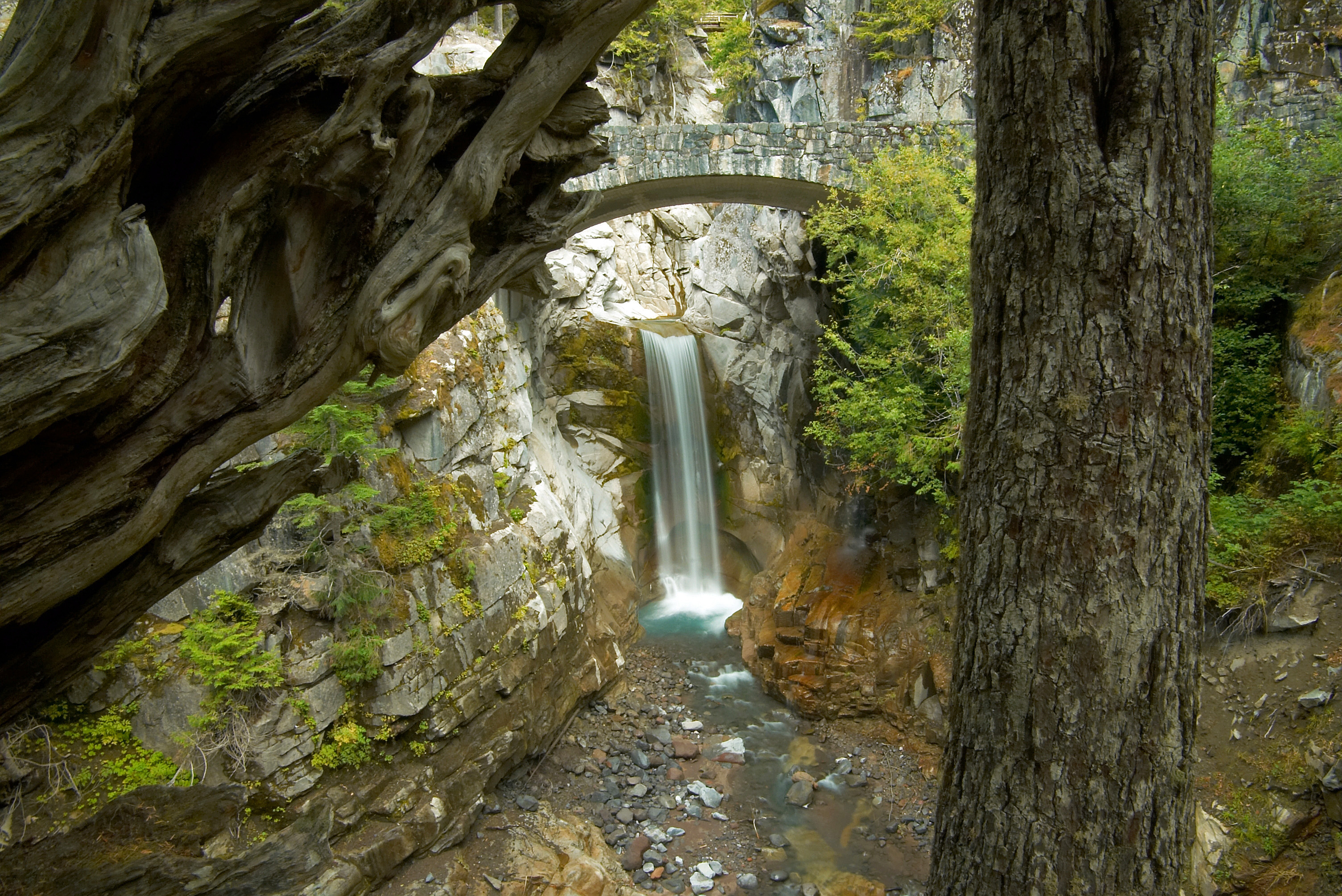 Christine Falls