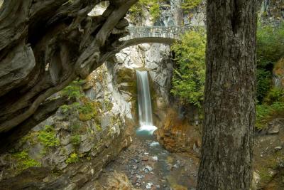 Christine Falls