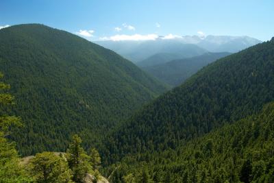 Hurricain Ridge