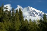 Mt. Rainier