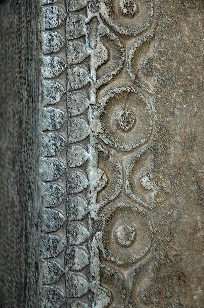 Mus_1067