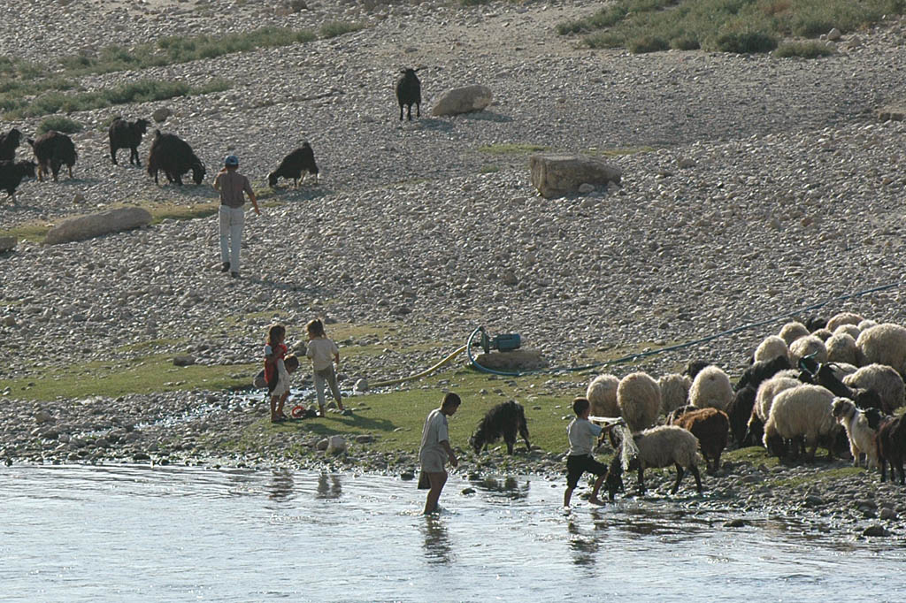 Hasankeyf herd and fisherman 2222