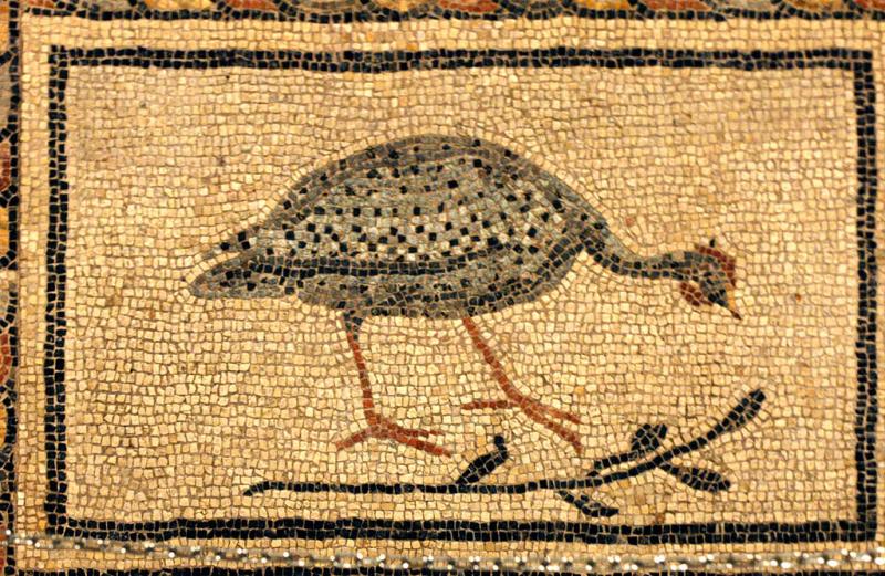 Gaziantep Museum 4095