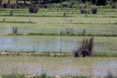 Sinop country_9575