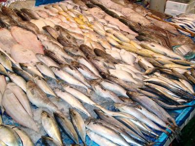 Fish variation on Suyou market