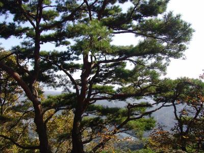 Chaeongsan Mountain