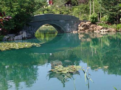 Chinese garden