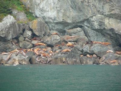Seals