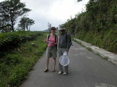On road transect.jpg