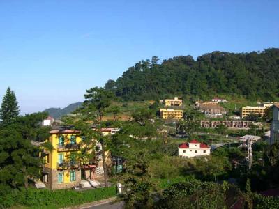TamDao.jpg