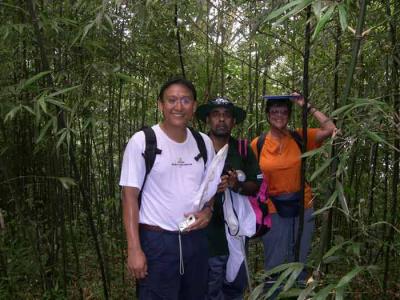 In the bamboo forest.jpg