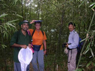 In bamboo forest.jpg
