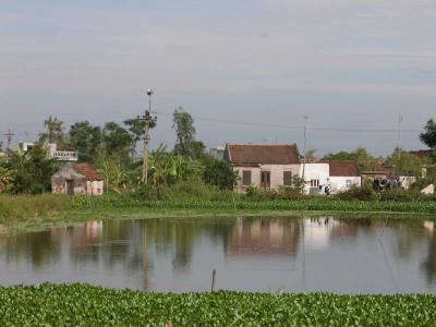 Viet's village.jpg