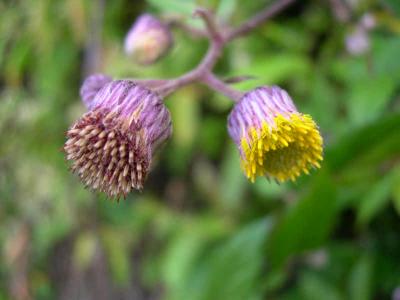 DSCN3893.jpg