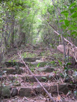 DSCN3959.jpg