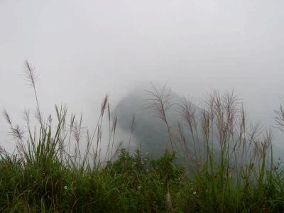 DSCN3965.jpg