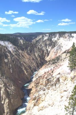 Grand Canyon of the Yellowstone; Falls WAY up there