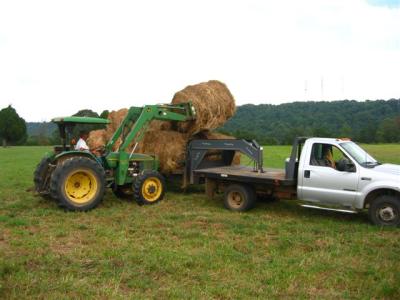 putting hay up before it storms or rains on it