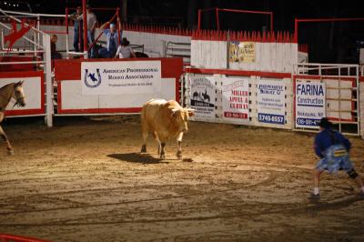 Big Bull
