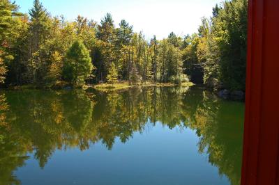 Mill Pond