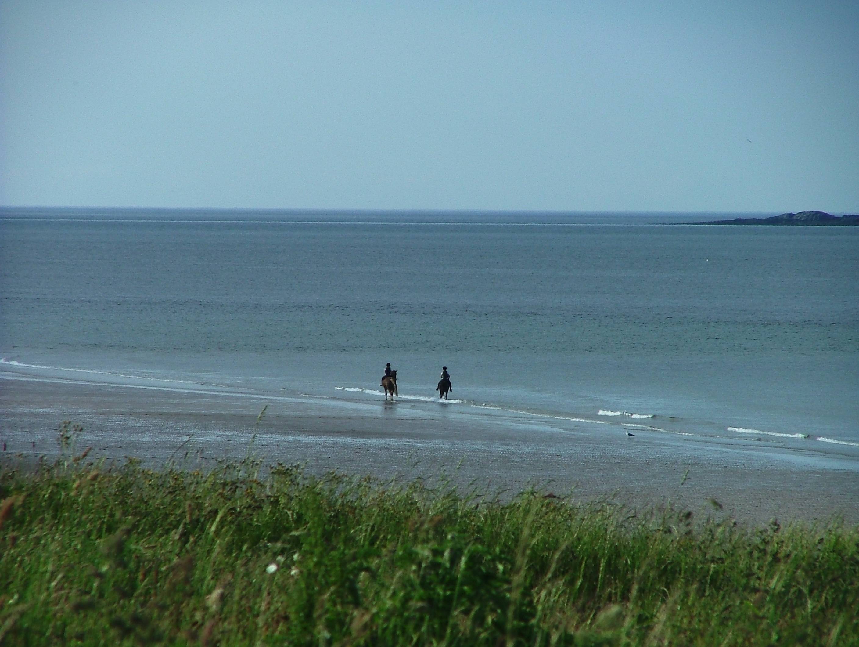 Riding on the Beach of Bamburgh