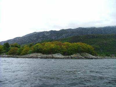 The Oakwood at Vilnes Where the Viking King Eirik BloodAks had is Holding