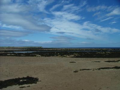 Early morning on the beach at Beadnell