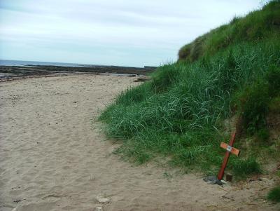 Fate on the beach at Beadnell