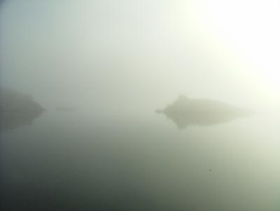 Morning in Fog