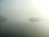 Morning in Fog