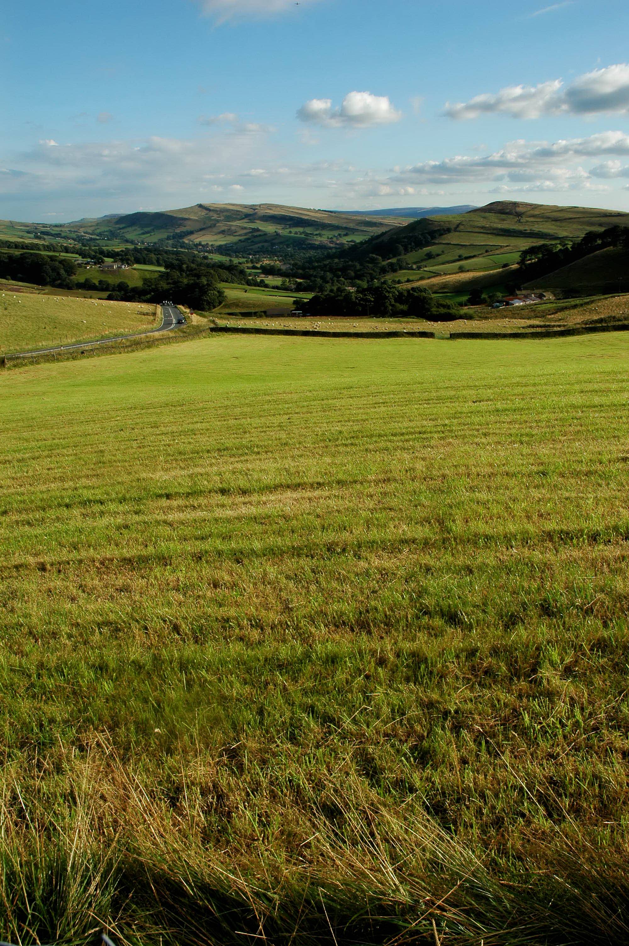 Charlsworth Countryside 81