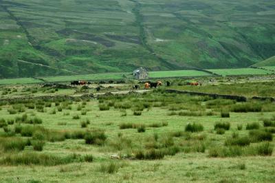 Saddleworth Moors 119