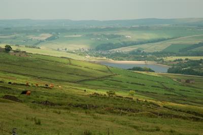 Moorlands Countryside 120