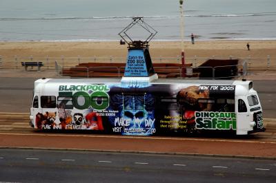 Tram in Blackpool White